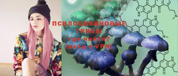 шишки Михайлов