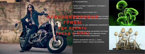 гидропоника Абинск