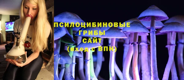 стафф Михайловка