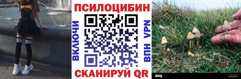 Псилоцибиновые грибы Psilocybine cubensis  купить  цена  Адыгейск 